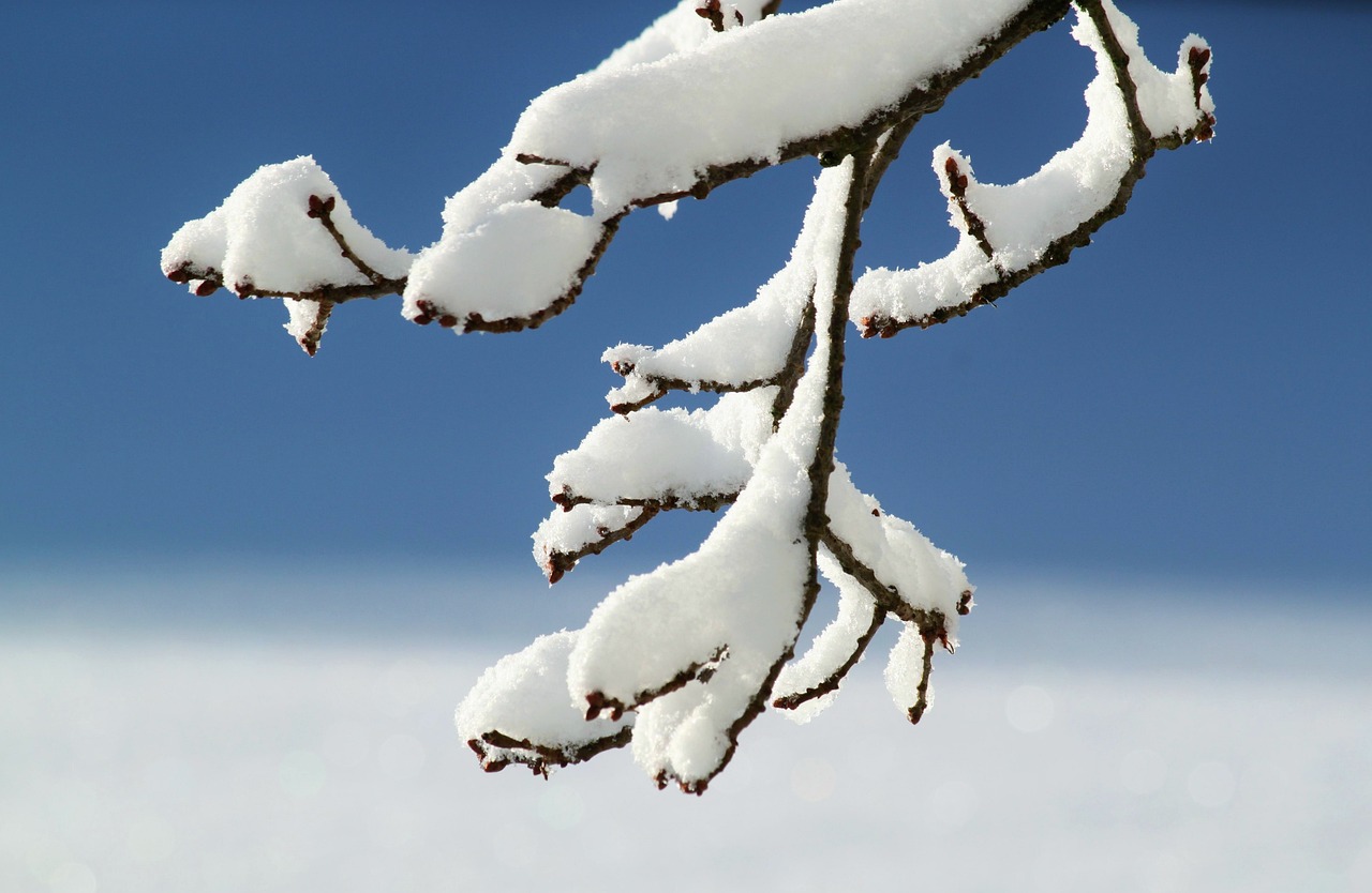 Previsioni meteo Immacolata 2024, tempesta artica sull’Italia: neve, temporali e raffiche oltre 100 km/h